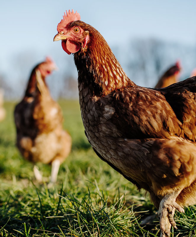 Wir helfen gesehen zu werden